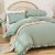 JANZAA Queen Comforter Set Sage Green 3PCS (1 Ruffled Comforter Set and 2 Pillowcases) Vintage Farmhouse Shabby Chic Bedding Soft Fluffy Comforter Set All Season